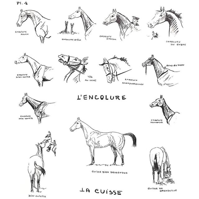 "Conquete Du Cavalier" 1968 Benoist-Gironiere, Y. For Sale - Image 11 of 13