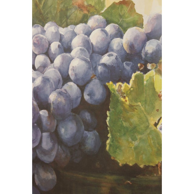 Fruit Still Life Limited Edition Art Print by Eva Ramanuska For Sale - Image 9 of 13