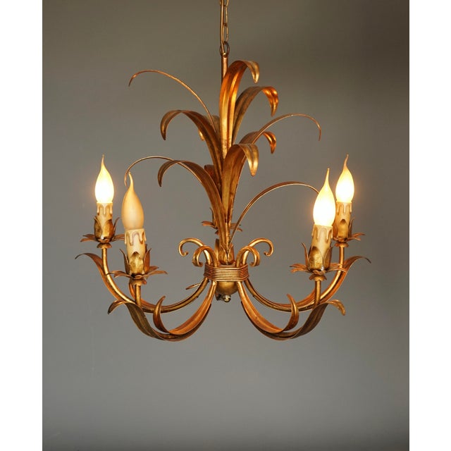 Gold Vintage Five Light Chandelier attributed to Hans Kögl, 1970s For Sale - Image 8 of 8