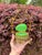 Antique French Opaline Casket Gilt Nest and Ivy Canopy Stand, Palais-Royal Taste, Uranium Glass For Sale - Image 12 of 15