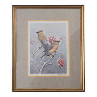 Berry Food Cedar Waxwings Signed Maynard Reece Print For Sale