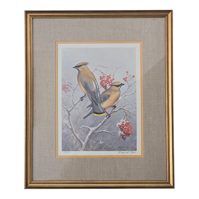 Berry Food Cedar Waxwings Signed Maynard Reece Print For Sale