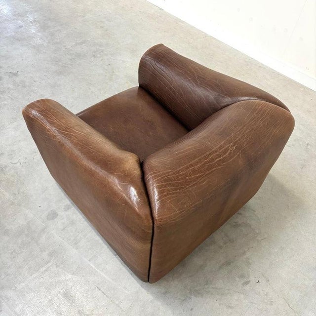 DS47 Lounge Chair from de Sede, Switzerland, 1970s For Sale - Image 9 of 13