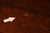 Antique L. & J.G. Stickley Mission Oak Library Table For Sale - Image 11 of 18
