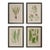 Set of Four 19th Century English Victorian Nature Printed Ferns in Black Frames For Sale