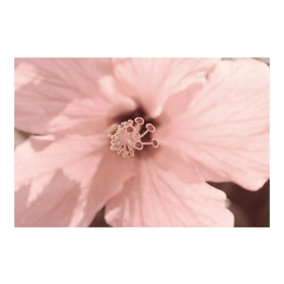 PInk, Signed Limited Edition Oversize Print, 2019 For Sale