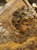 18th Century French Carved Oak Overdoor Pediment With Winged Cherub For Sale - Image 10 of 18