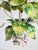 Vintage Italian Handpainted Foral Motif Tole Chandelier For Sale - Image 13 of 18