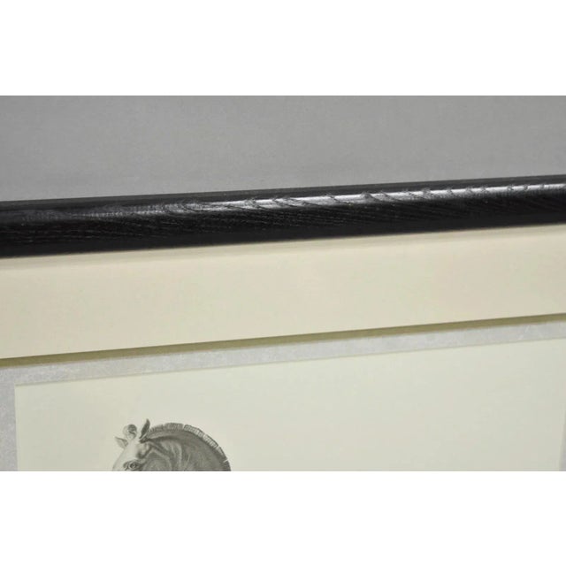 White Late 20th Century Vintage Regal Horse Sketch Equestrian Print Framed Art Wall Decor, Set of 2 For Sale - Image 8 of 12