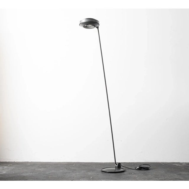 Gray Floor Lamp by Tommaso Cimini for Lumina, 1970s For Sale - Image 8 of 10