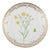 Flora Danica Lunch Plate in Hand-Painted Porcelain with Flowers from Royal Copenhagen, 1963 For Sale