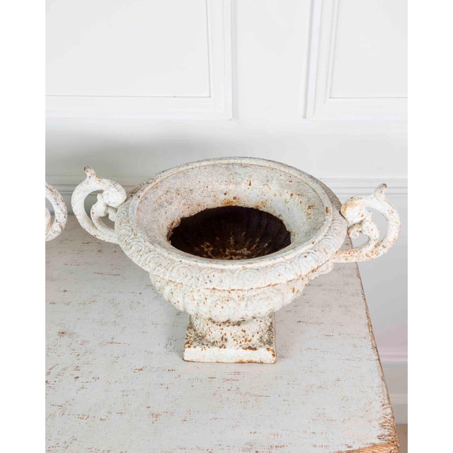 Pair of English 19th Century Cast-Iron Garden Urns For Sale - Image 9 of 13