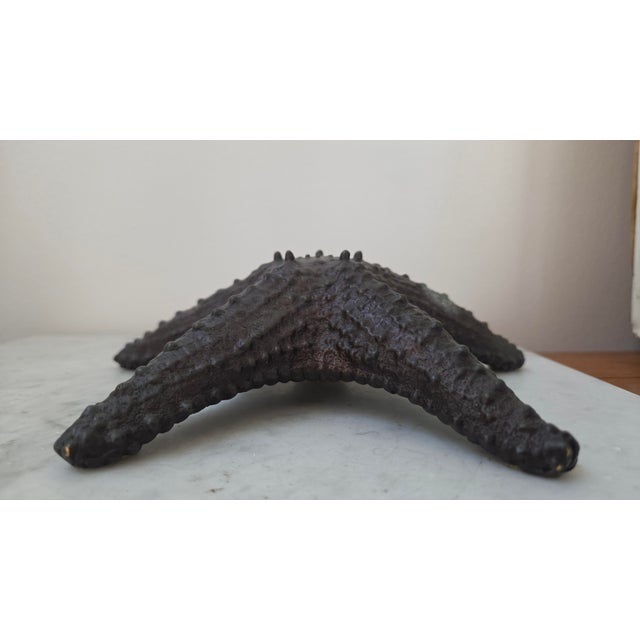 Late 20th Century Maitland-Smith Dark Patina Starfish Tabletop Sculpture For Sale - Image 13 of 17