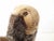 1970s Vintage Steiff Beaver Stuffed Animal For Sale - Image 5 of 8