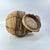 Tan Early 20th Century Luo Basket with Lid MATTER COLLECTION For Sale - Image 8 of 10