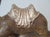 Antique Anglo-Indian Hand-Crafted, Wood-Carved & Gilded Silver Leaf Reposed Camel Accent/Decorstive Piece For Sale - Image 14 of 18