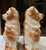 Ceramic 19th Century Antique Pair Bo’Ness Wally Spaniel Mantel Dogs - Staffordshire Style Scottish Pottery W/Glass Eyes & Gilt Details - 12.5” See Pics! For Sale - Image 7 of 12
