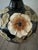 Decorative meiping-form black vase with applied leaf and flower relief, unmarked decorative import. Good vintage condition.