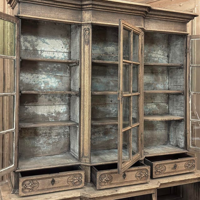 Early 19th Century Belgian Liégeois Régence Carved Oak Bookcase ~ Bibliotheque For Sale - Image 16 of 18