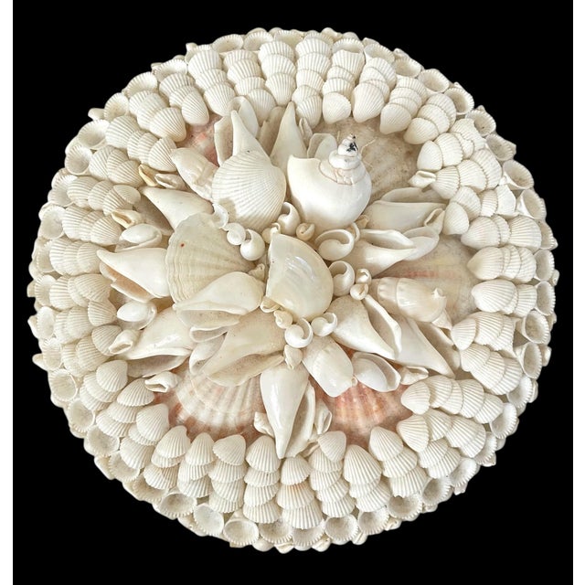 Late 20th Century Shell Nautical Round Trinket Decorative Box Large With Lid. 10” Philippines For Sale - Image 5 of 10
