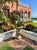 Hand-Painted Moroccan Metal Agave Sculptural Garden Ornament For Sale - Image 11 of 12