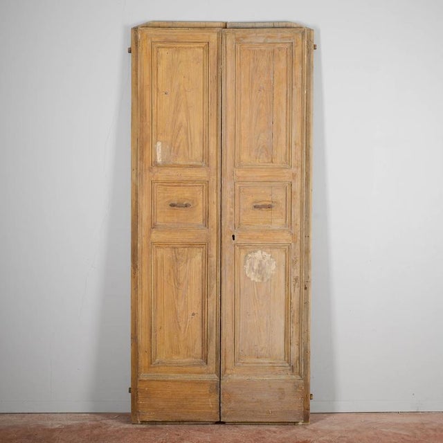 Antique Double-Leaf Door, 18th Century For Sale - Image 9 of 9