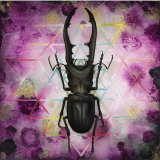 Col?rem I by Kierstin Young | Oil and Acrylic on Panel of a black stag beetle with geometric background For Sale