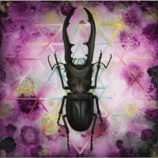 Col?rem I by Kierstin Young | Oil and Acrylic on Panel of a black stag beetle with geometric background For Sale