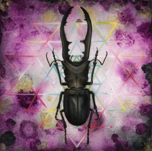 Col?rem I by Kierstin Young | Oil and Acrylic on Panel of a black stag beetle with geometric background