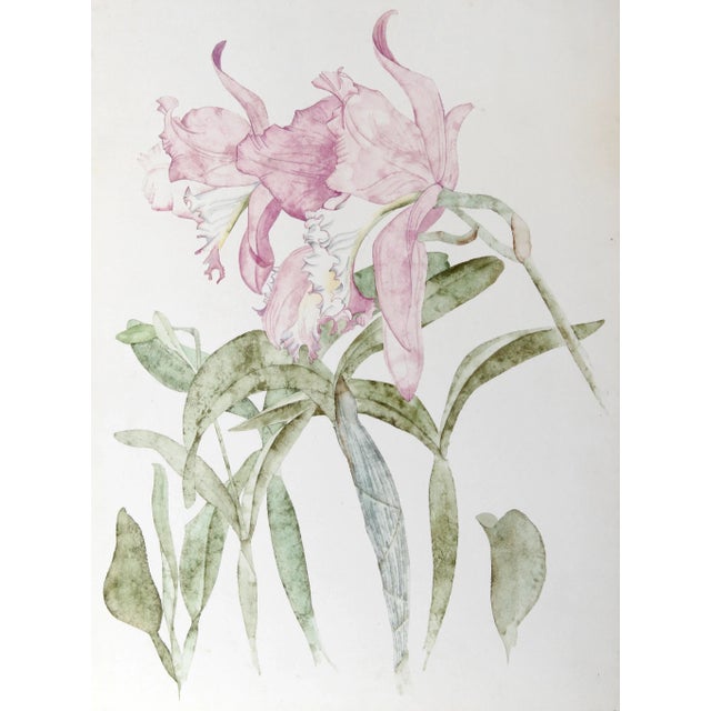 Figurative Purple Irises, Carl Bergman For Sale - Image 3 of 3