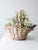 This large vintage wicker basket features a hefty willow weave with a creamy white painted finish that brings out the...