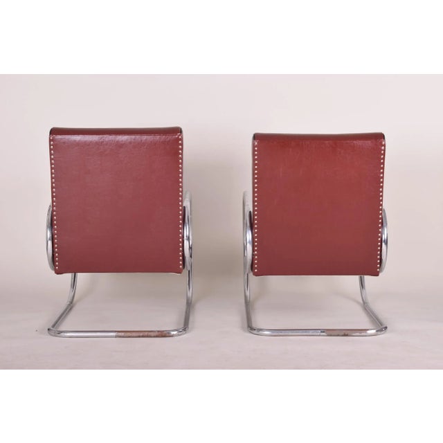Burgundy Tubular Armchairs, 1930s, Set of 2 For Sale - Image 4 of 10