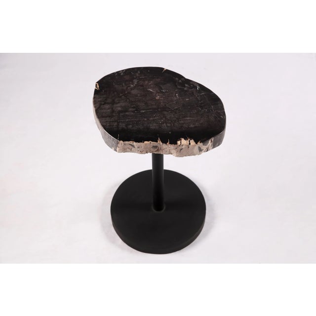2020s Living Edge Petrified Wood Top W Black Metal Stand Accent Table or Side Table 55 For Sale - Image 5 of 5