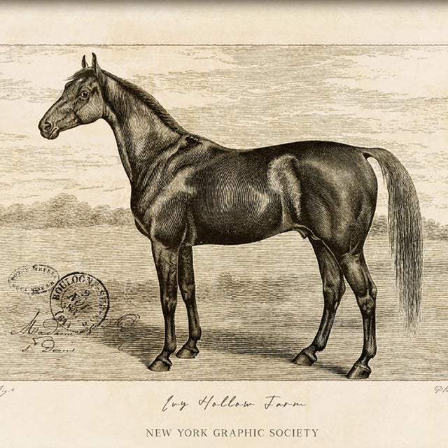 Illustration Reproduction Art Print of Vintage Horse (1) in Ornate Gold Frame For Sale - Image 3 of 5