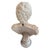 Antique Italian 18th Century Marble Roman Bust For Sale - Image 4 of 12