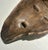 1960s 1960s African Mbagani Hand Carved Mask For Sale - Image 5 of 8