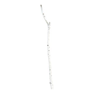 Birchwood Branch Piece for Decoration, Style C For Sale