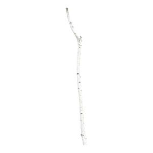 Birchwood Branch Piece for Decoration, Style C