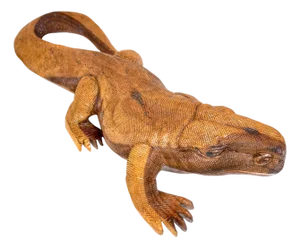 Hand-Carved Wood Life Size Monitor Lizard, School of Bustamonte, Mexico, 1970s