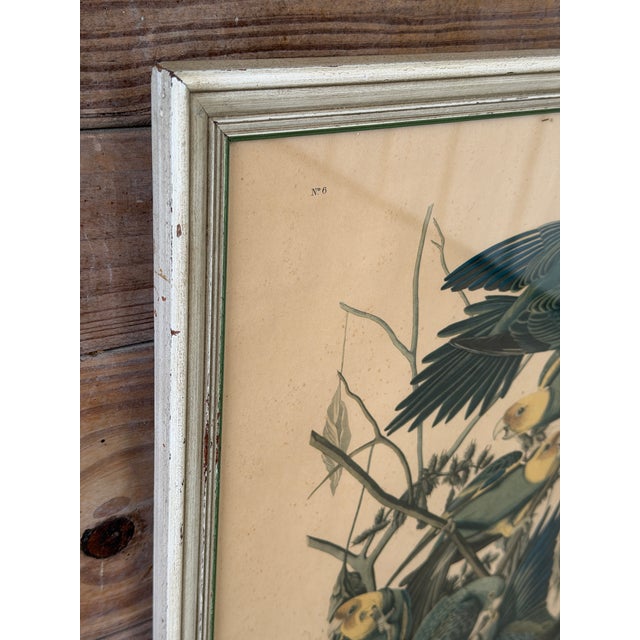 One of the most iconic images ever produced by John James Audubon, beautifully presented exactly as time intended. This...
