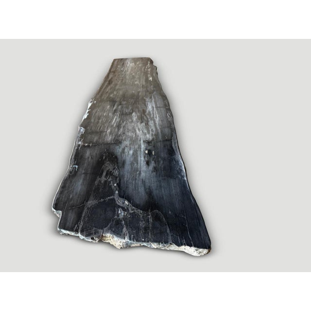 Andrianna Shamaris Exquisite High Quality Petrified Wood Dining Table Or Console For Sale - Image 4 of 18