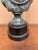 Metal Classical Verdigris Brass Bust of Apollo Belvedere For Sale - Image 7 of 11