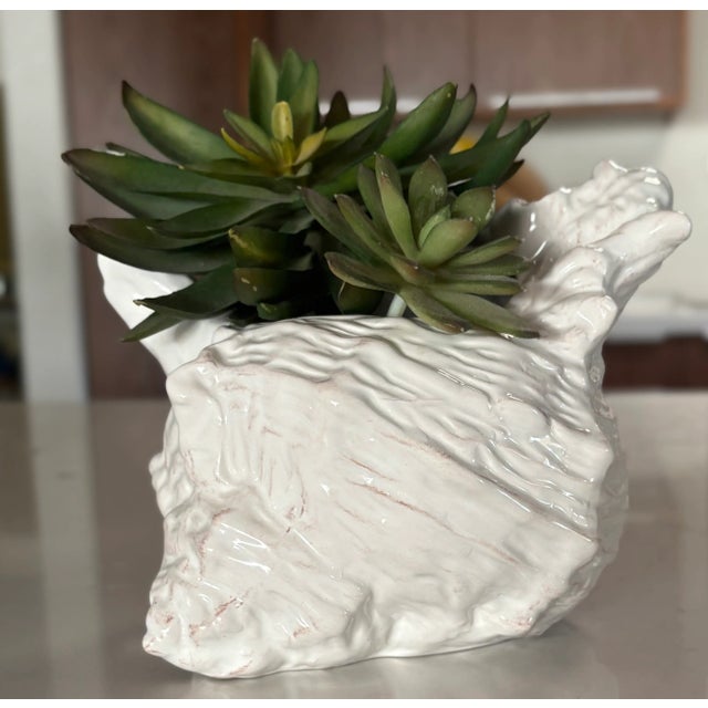 Add a little California Coastal Chic to your home, no matter where you live! This ceramic cachepot planter in the shape of...