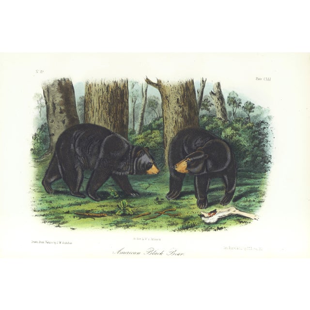 1854 Audubon Quadruped Octavo Lithograph "Plate 141 American Black Bear" For Sale