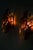 Glass Wall Lamps by Svend Aage Holm Sørensen, 1960s, Set of 2 For Sale - Image 6 of 8
