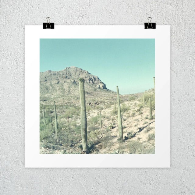 The faded turquoises and greens of this groovy desert scene will look sooooo good on any wall. The original photo is from...