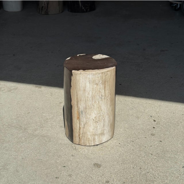 Small side table in black and white petrified wood, H28 D18. Petrified wood is a fossilized wood (same family as magnolia)...