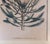 18th Century Hand Colored Botanical Engraving Curtis's Magazine Print Protea For Sale - Image 9 of 10