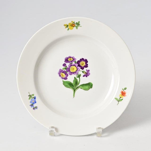 Hand-Painted Porcelain Plate from Meissen, 1960s For Sale - Image 11 of 11