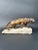 Patinated Bronze Mounted on Marble Sculpture Figure of a Lion For Sale - Image 4 of 7